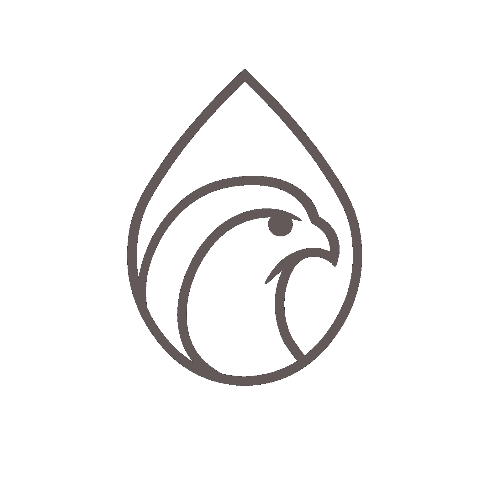 Peregrina falcon logo